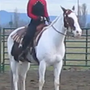 Gina Riding Western