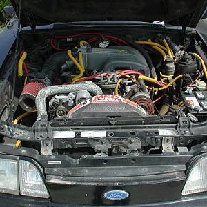 1989 Mustang GT Engine Bay